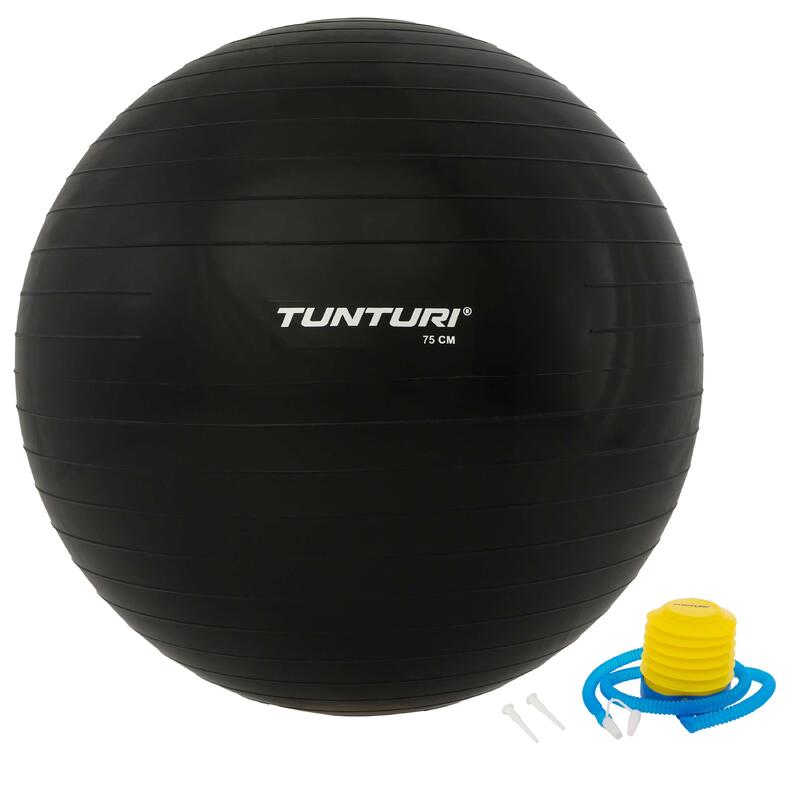 HBselect Balle de Fitness pour Pilates Ballon Grossesse Ballon Gym et de  Grossesse décathlon Gym Ball fitball swissball Sitting Ball 65 cm,avec Base  de Stabilité, Bandes de Résistance, Notice & Pompe en