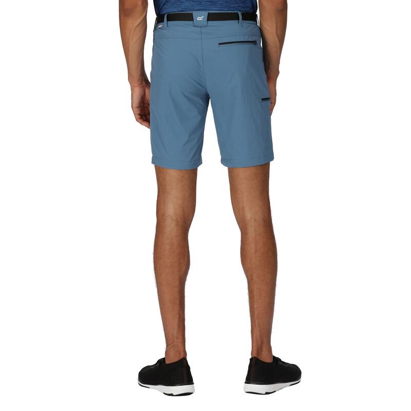 REGATTA Regatta Shorts Xert StrShort III HEREN Stellar