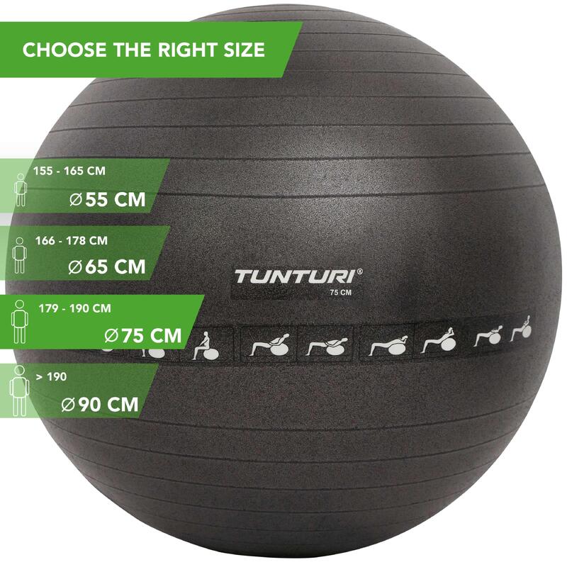 Gym ball ballon de gym 75cm anti éclatement noir