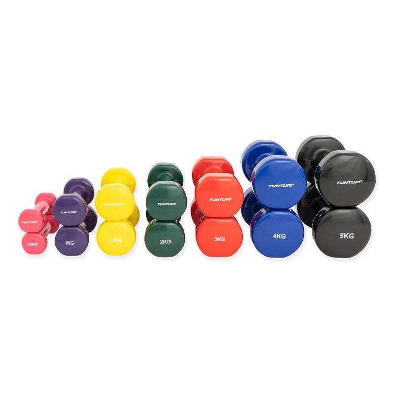 Dumbbell set - Vinyl - Paars