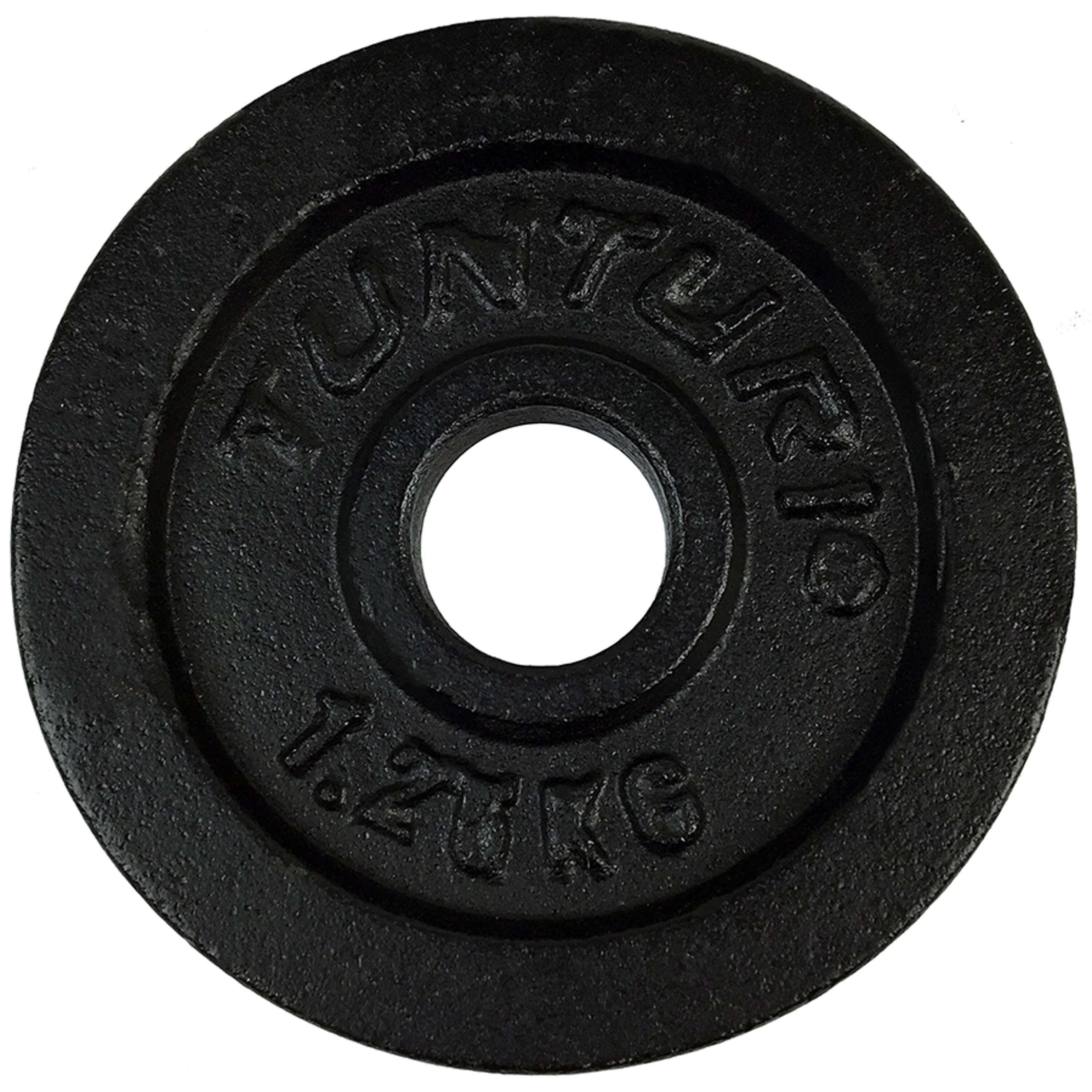 Tunturi cast iron 1.25 kg pair of weight disks 30 mm