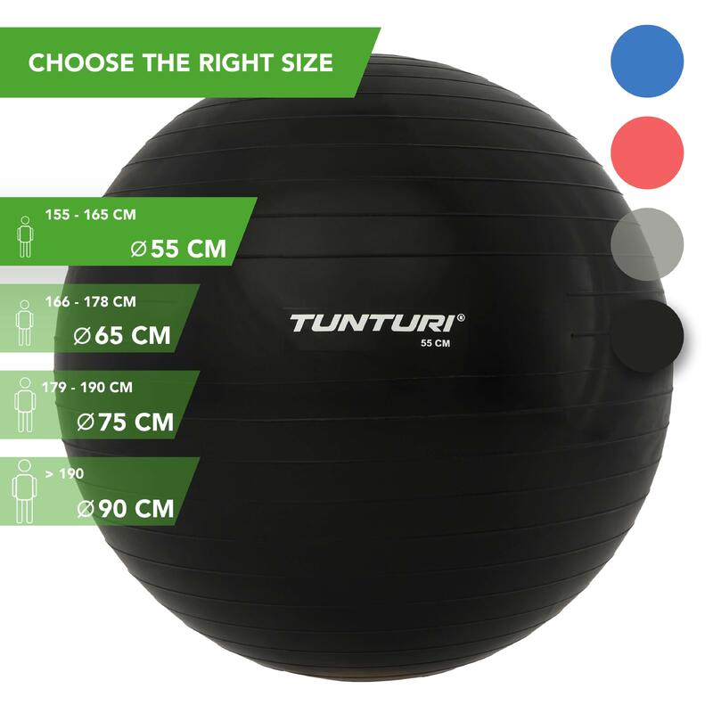 Gym ball ballon de gym 55cm noir