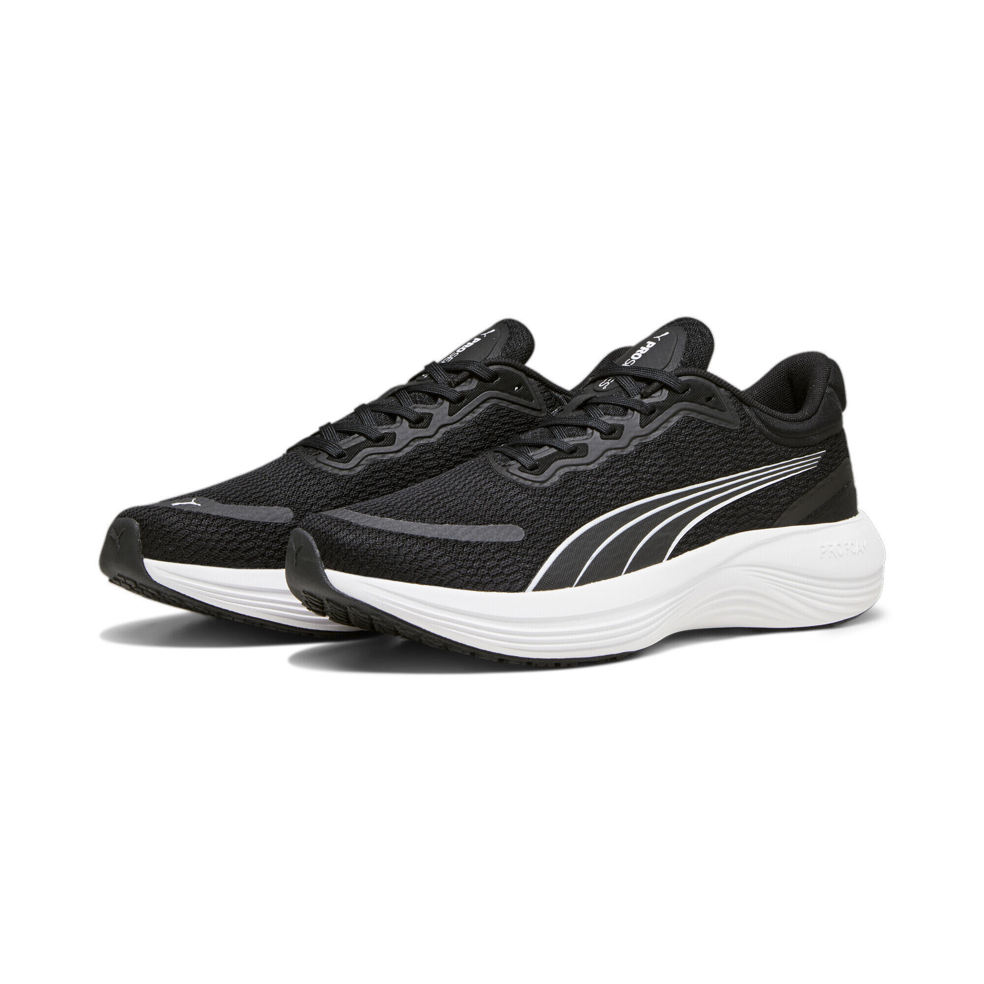 PUMA picture