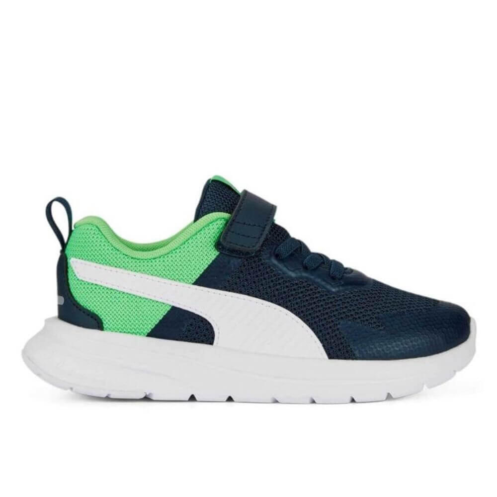 PUMA picture