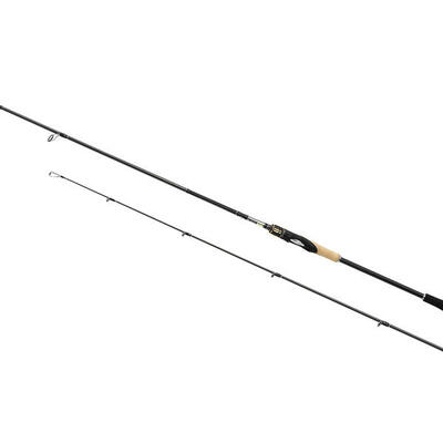 Spinhengel shimano sustain fast 5-21 g