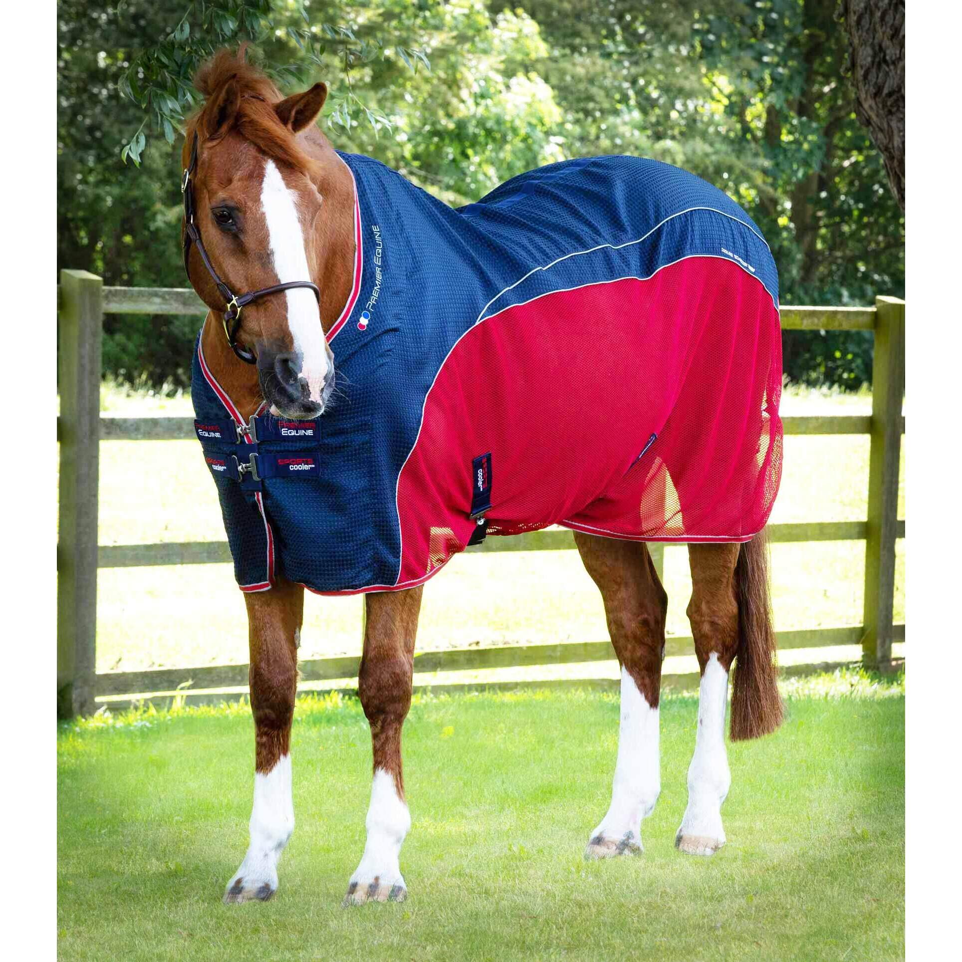 Drying blanket for horses Premier Equine