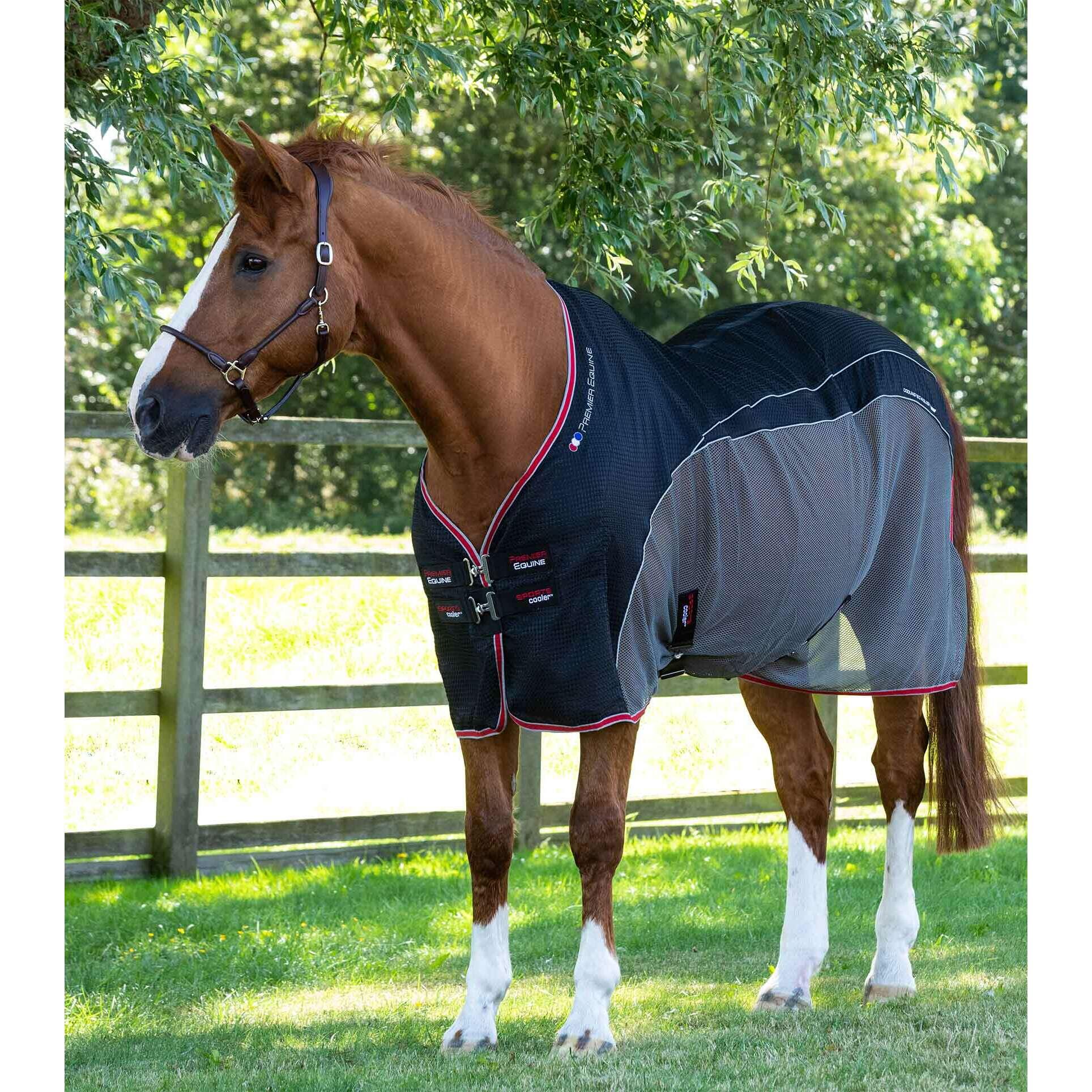 Drying blanket for horses Premier Equine