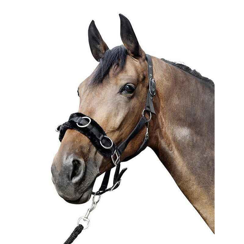 Kappzaum aus Nylon mit Plüschpolsterung schwarz für Pony