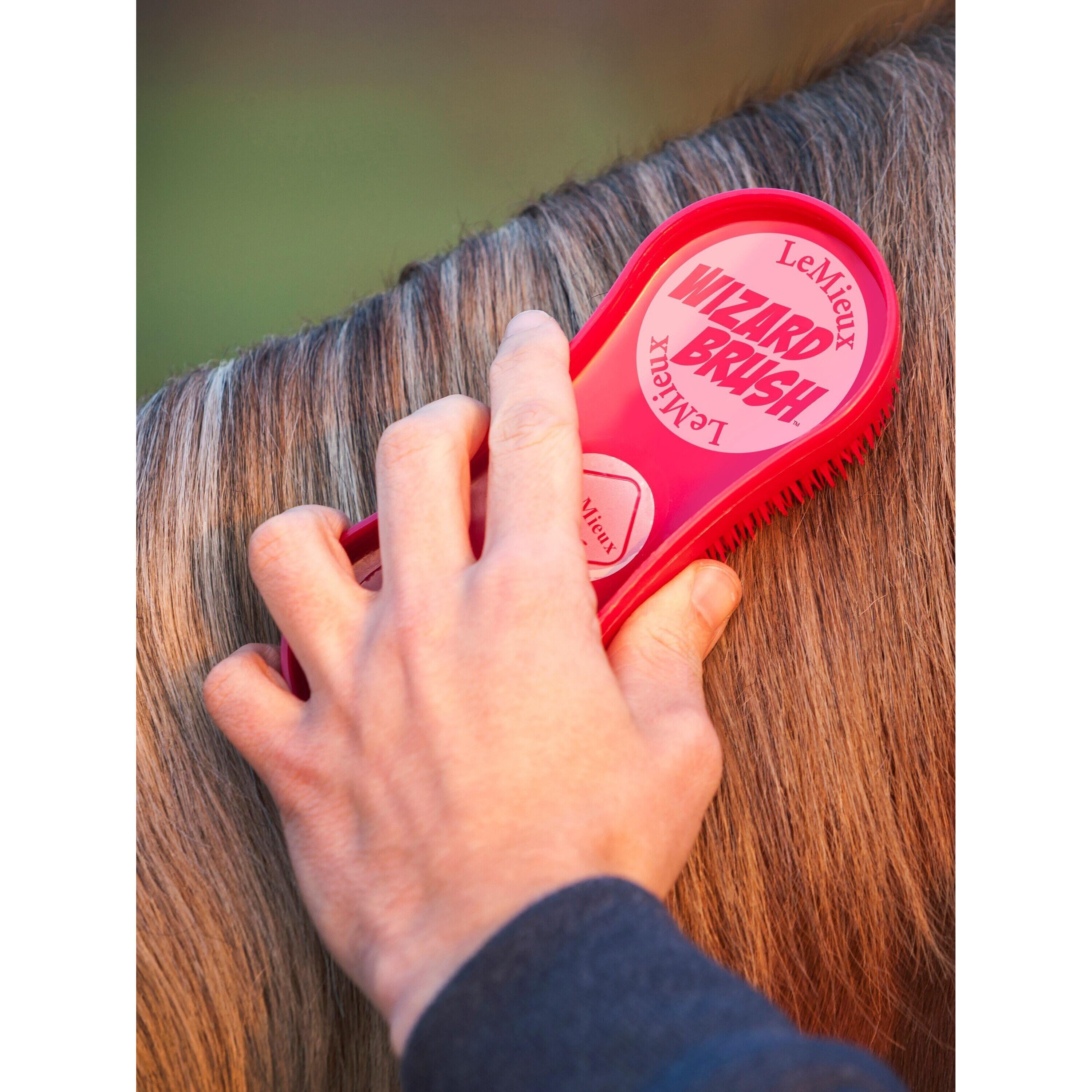 Brosse multifonction pour cheval LeMieux Wizard 2/6