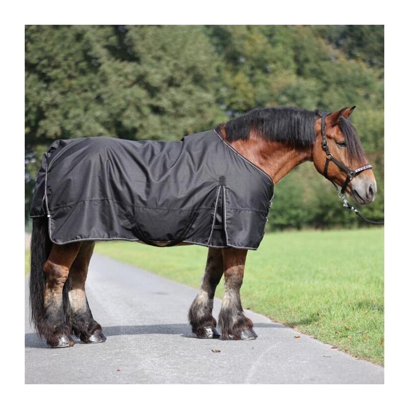 Outdoor-Decke für Pferde Kavalkade Draft Horse