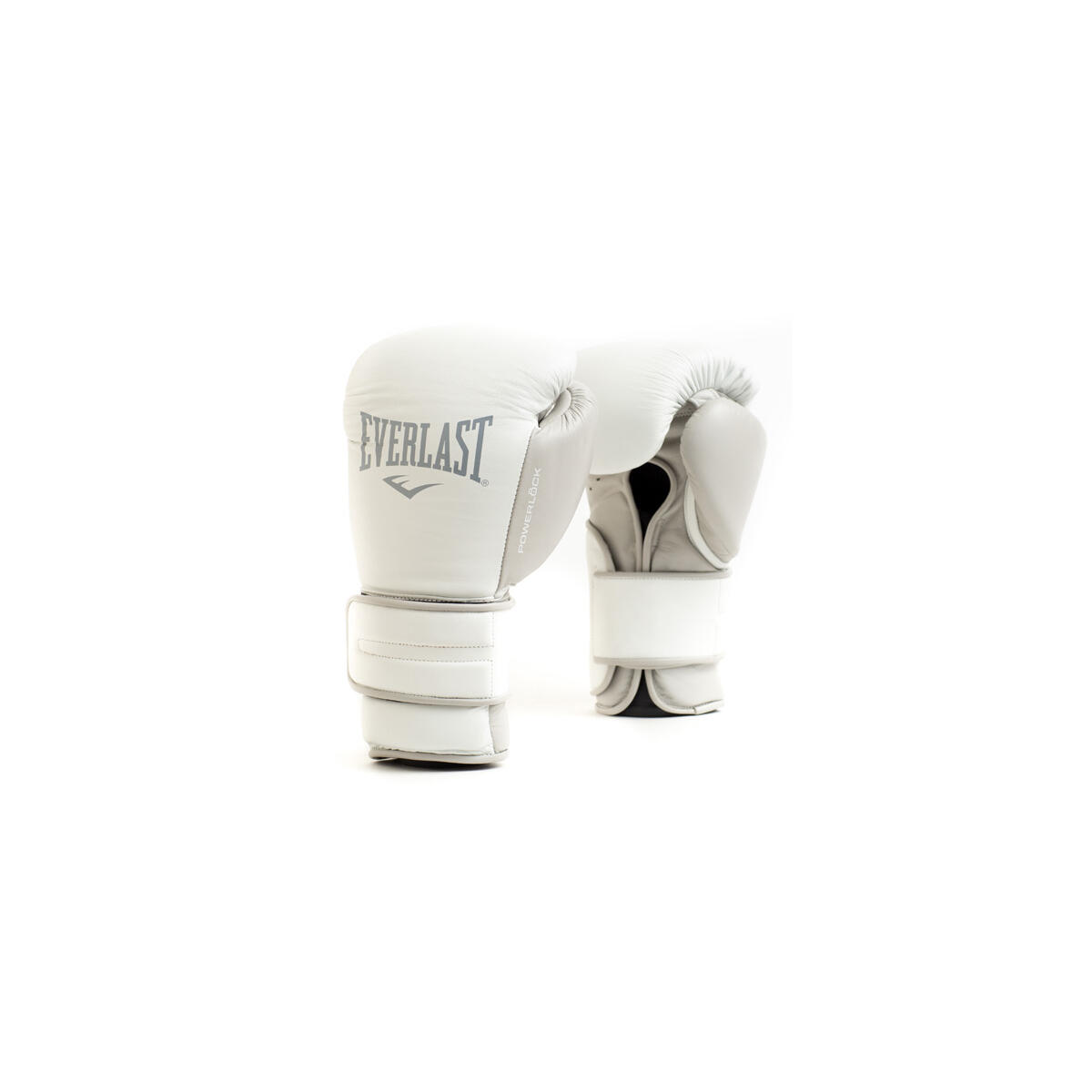 EVERLAST picture