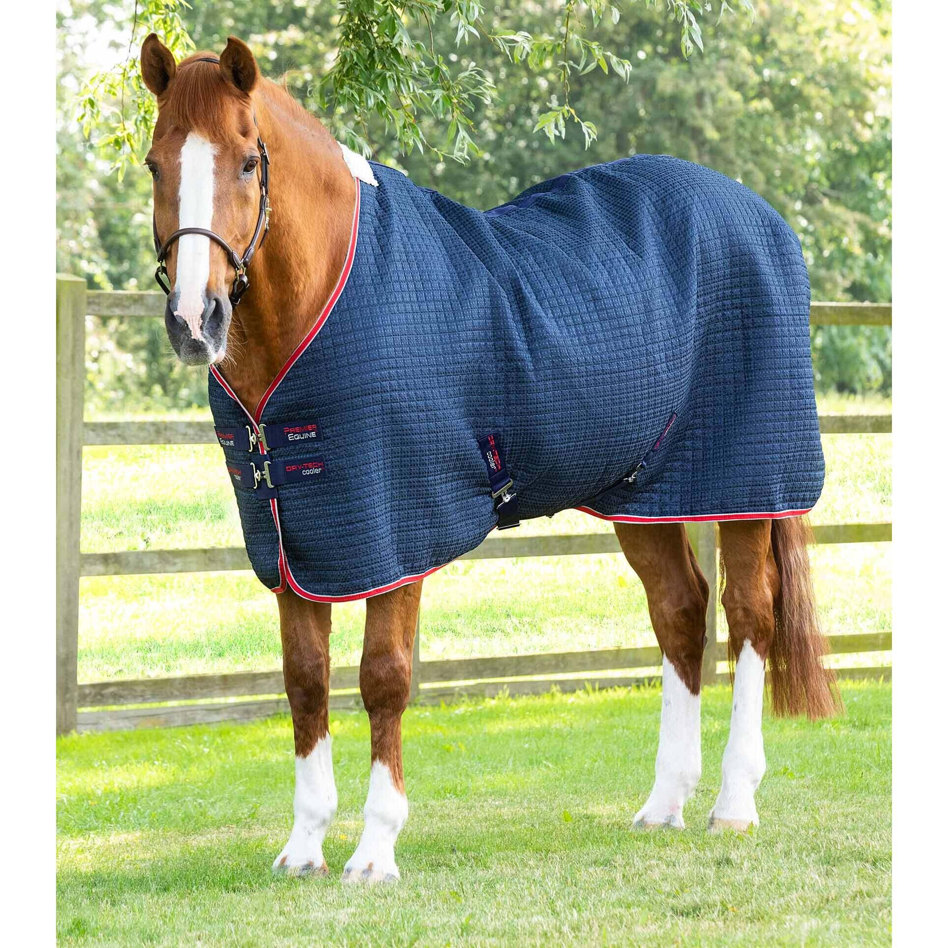 PREMIER EQUINE Droogdeken voor paarden Premier Equine Dry-Tech