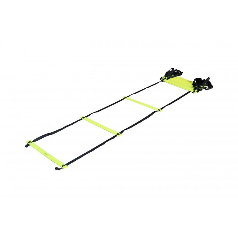 Scara de viteza Fitskin