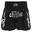 Kick Boxing Short Modèle Long Enfants/Adultes Argent Satin