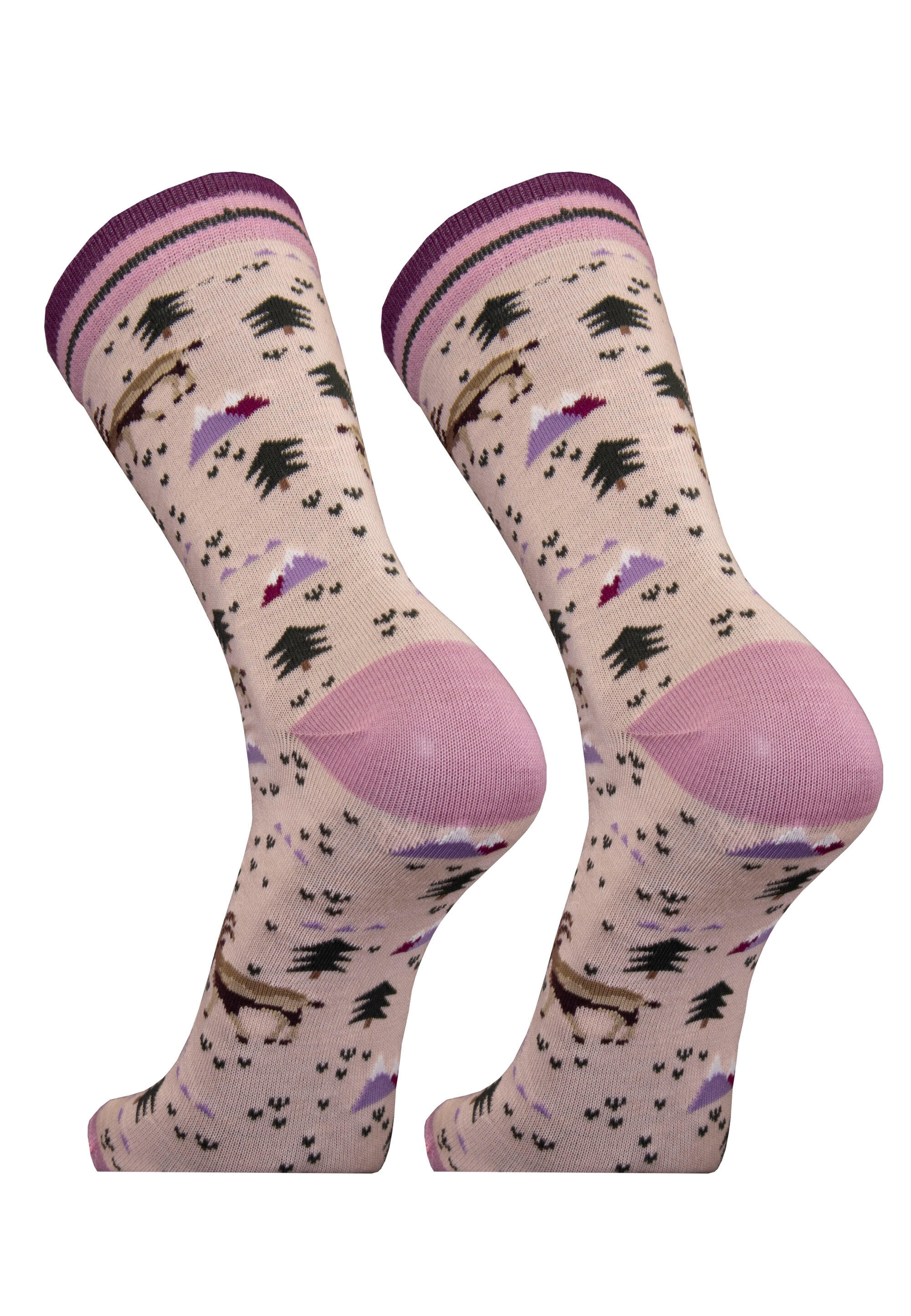 Socken 2er-Pack IBEX 2er Pack 3/3