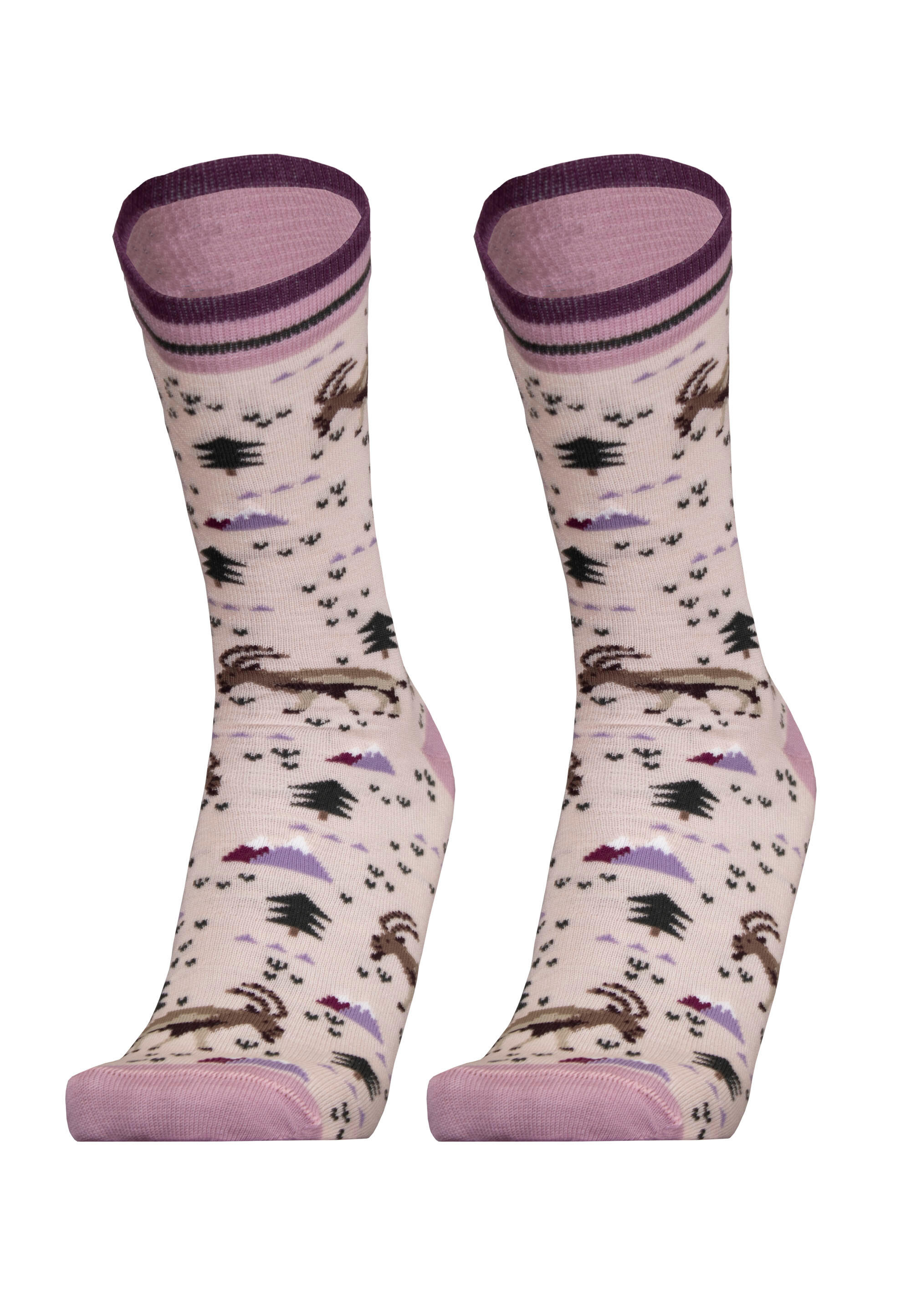 Socken 2er-Pack IBEX 2er Pack 2/3