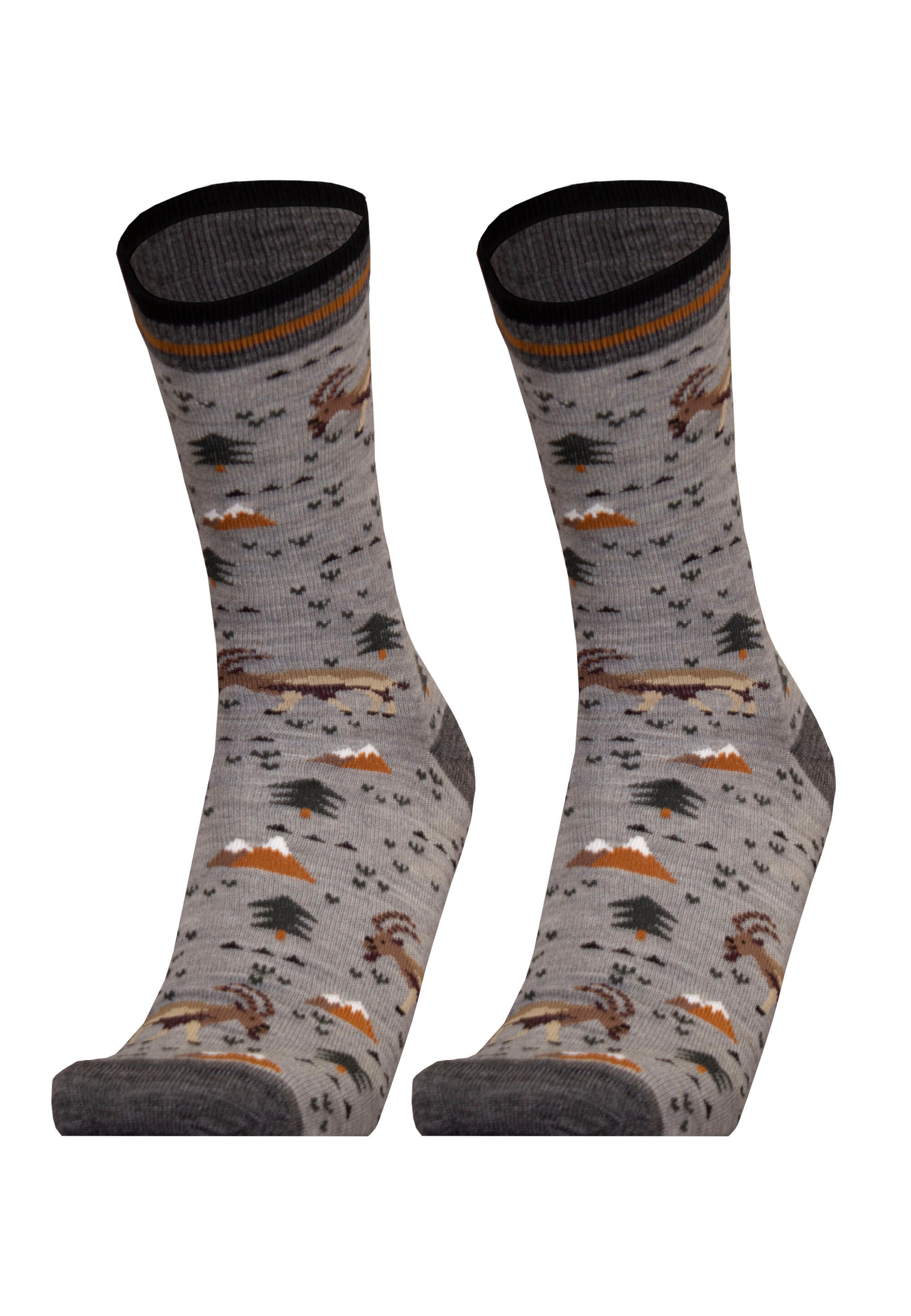 Socken 2er-Pack IBEX 2er Pack 2/3