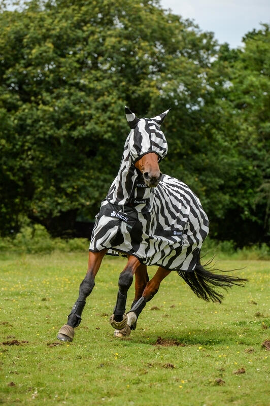 Couverture anti-mouches pour cheval avec couvre-cou Bucas Buzz-Off Zebra 3/4