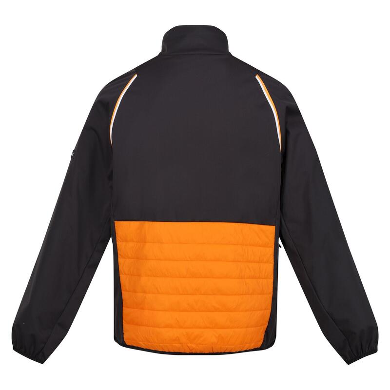 Steren Hybrid Homme Randonnée Veste