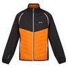 Steren Hybrid Homme Randonnée Veste