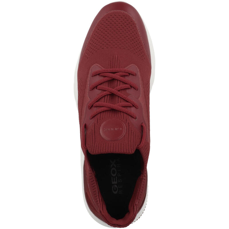 Basket à Lacets Geox Spherica Actif - Homme