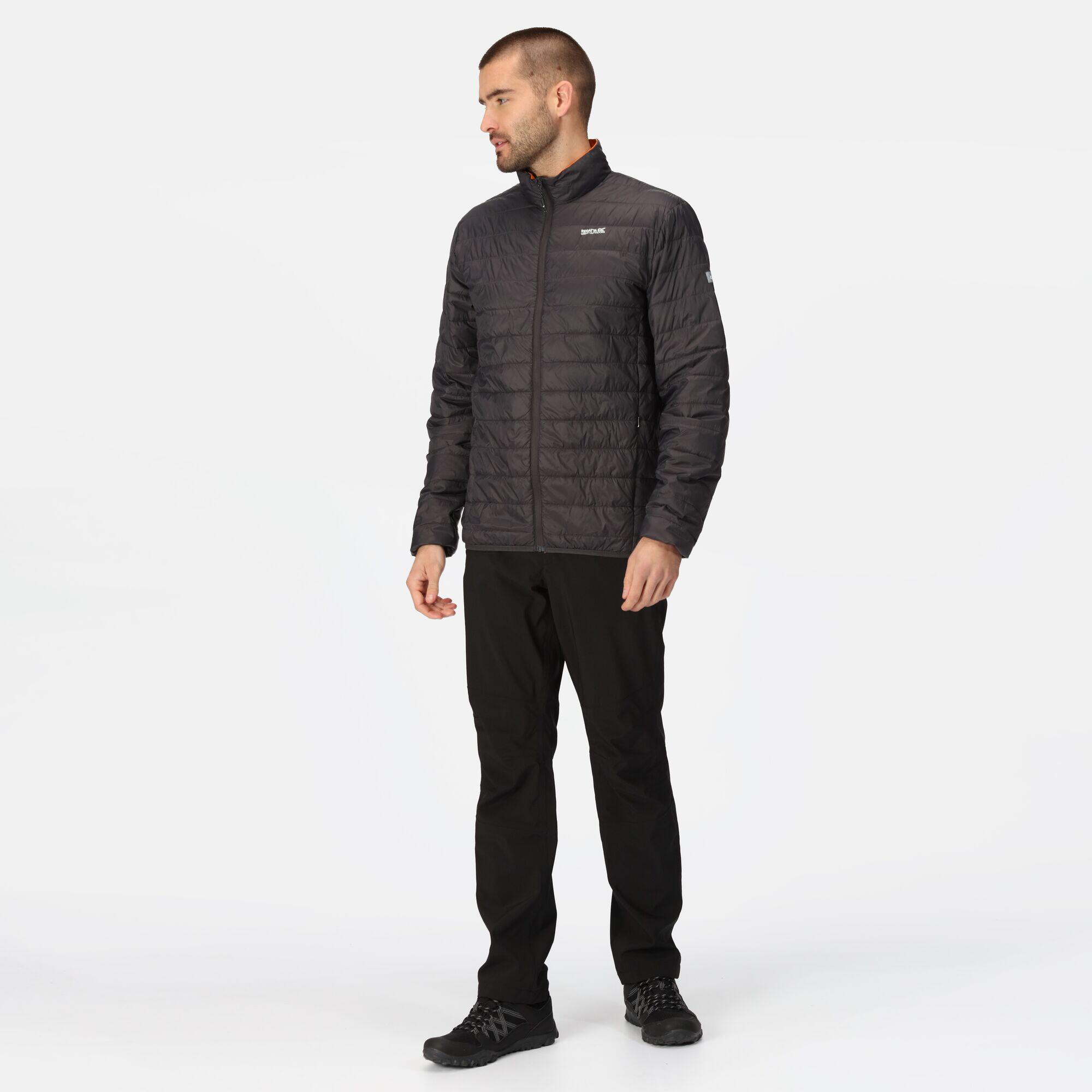 Chaqueta acolchada senderismo hombre Regatta Hillpack, ash grey 3/7