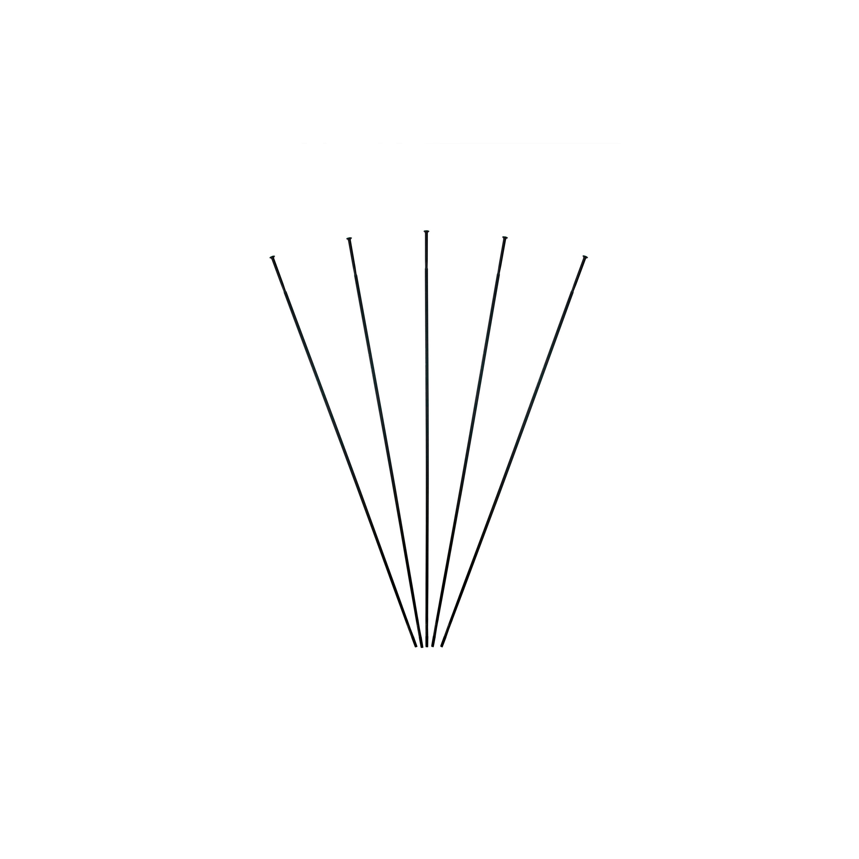 Promienie powrotne Massi (x5)