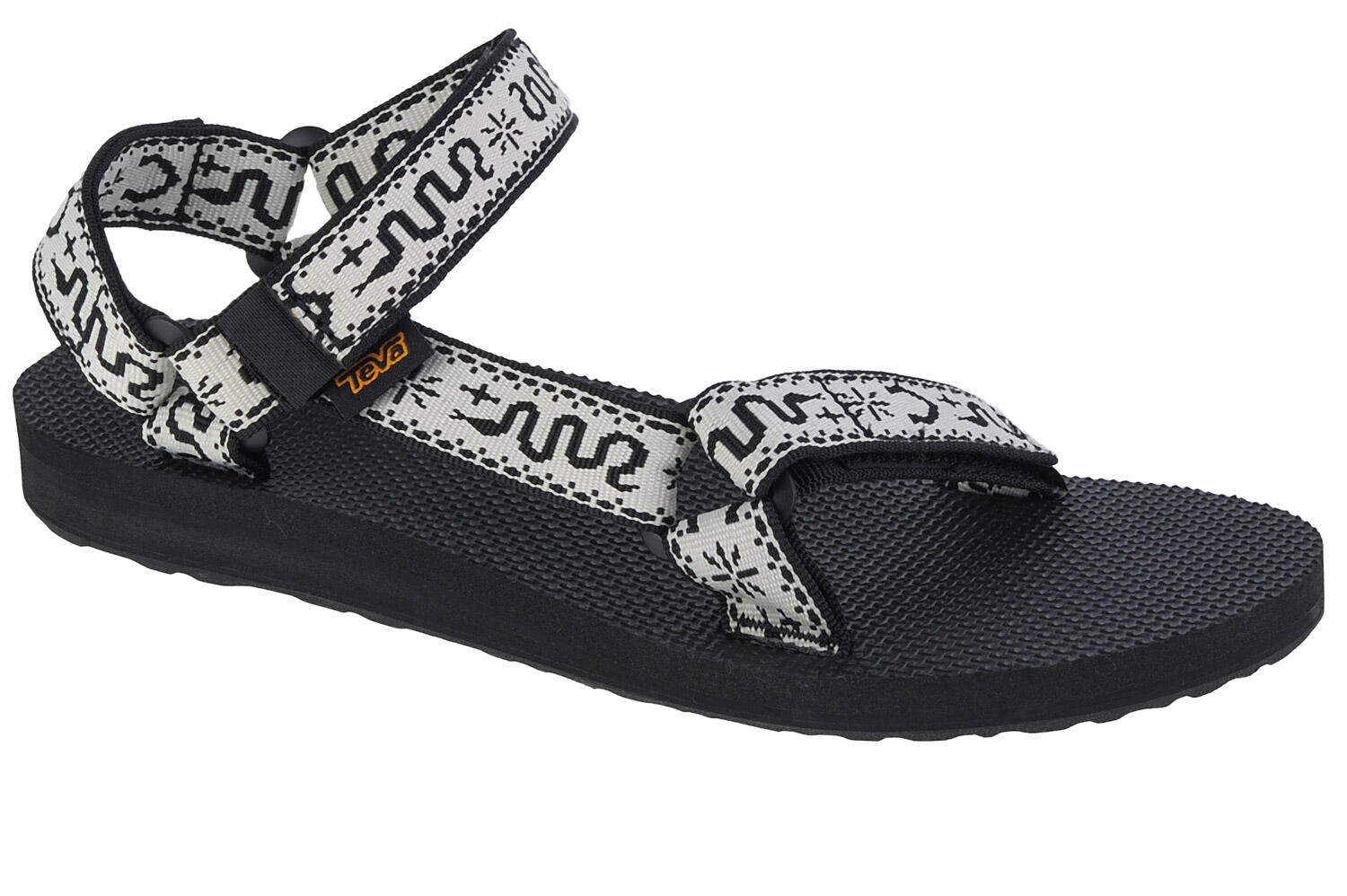TEVA picture