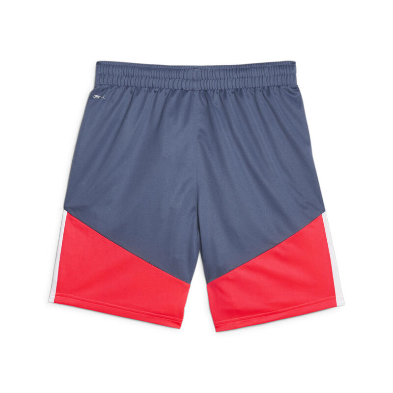 Pantaloni scurti barbati Puma Individualcup Shorts, Multicolor