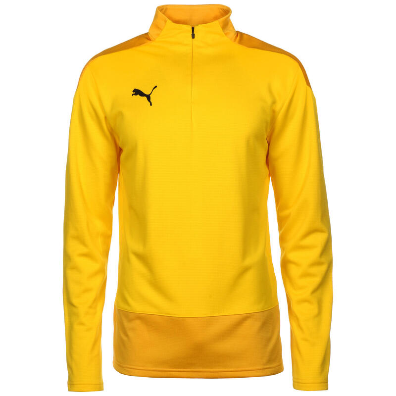 Trainingspullover teamGOAL 23 Herren PUMA