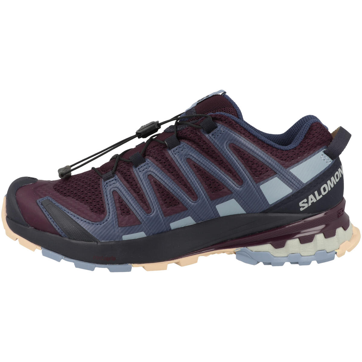 SALOMON Salomon Xa Pro 3D V8 Wandelschoen Vrouwen