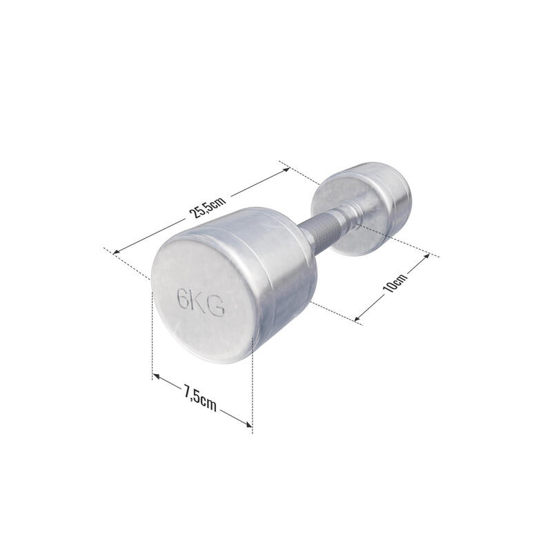 Dumbellset 12 kg - 2x6 kg - Halterset - Vaste dumbbells - Chroom
