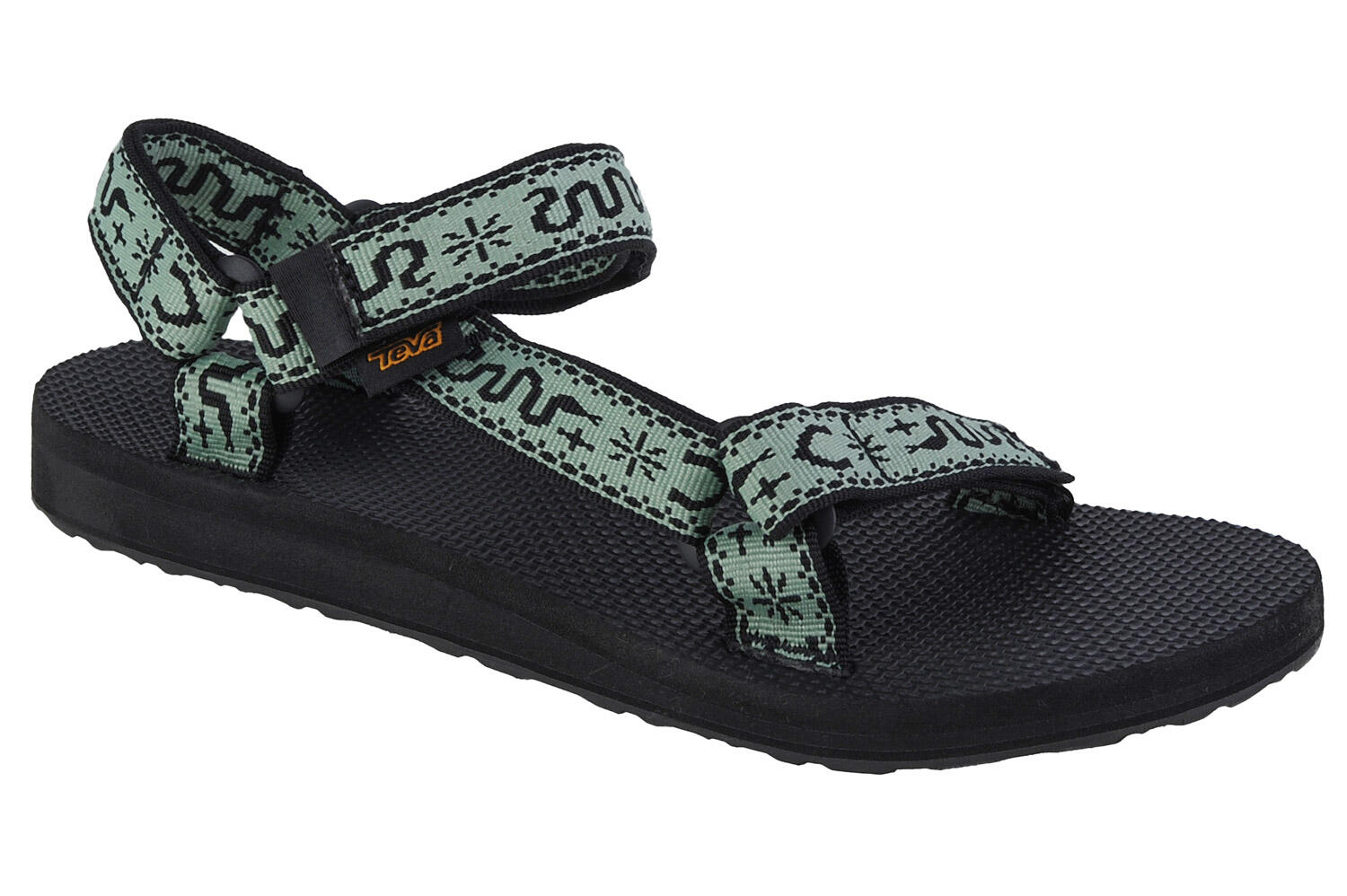 TEVA picture