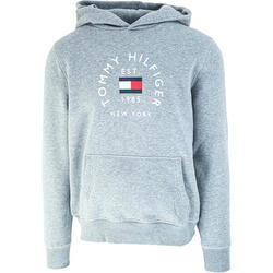 Sudadera Tommy Hilfiger Flag Arch, Gris, Hombre