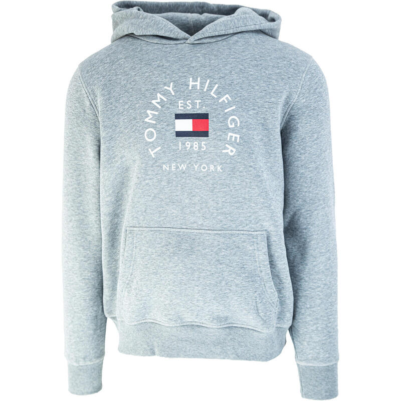 Hoodie Tommy Hilfiger Flag Arch, Cinza, Homens