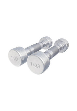 Kurzhantel Chrom 1 - 20 kg