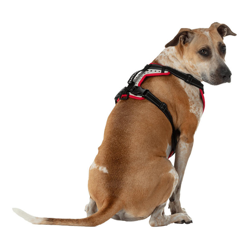 Hondenharnas met riem voor lopers - K9 Series ZWART
