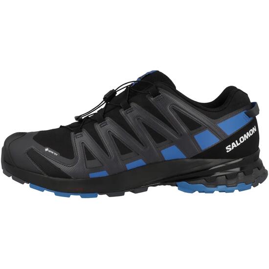 Laufschuhe XA PRO 3D V8 GTX Herren