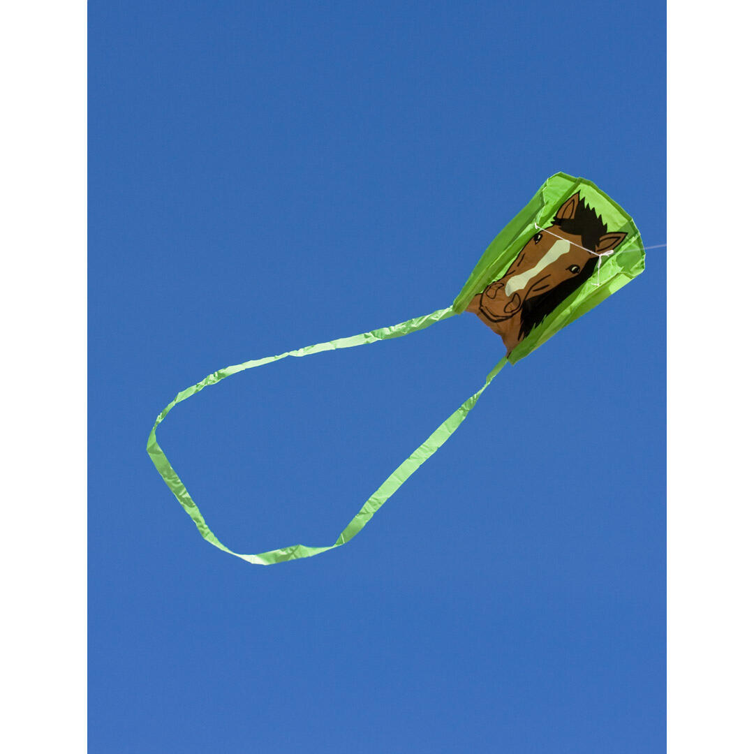 HQ Flugdrache Kinder Pocket Sled Bronco 4/4
