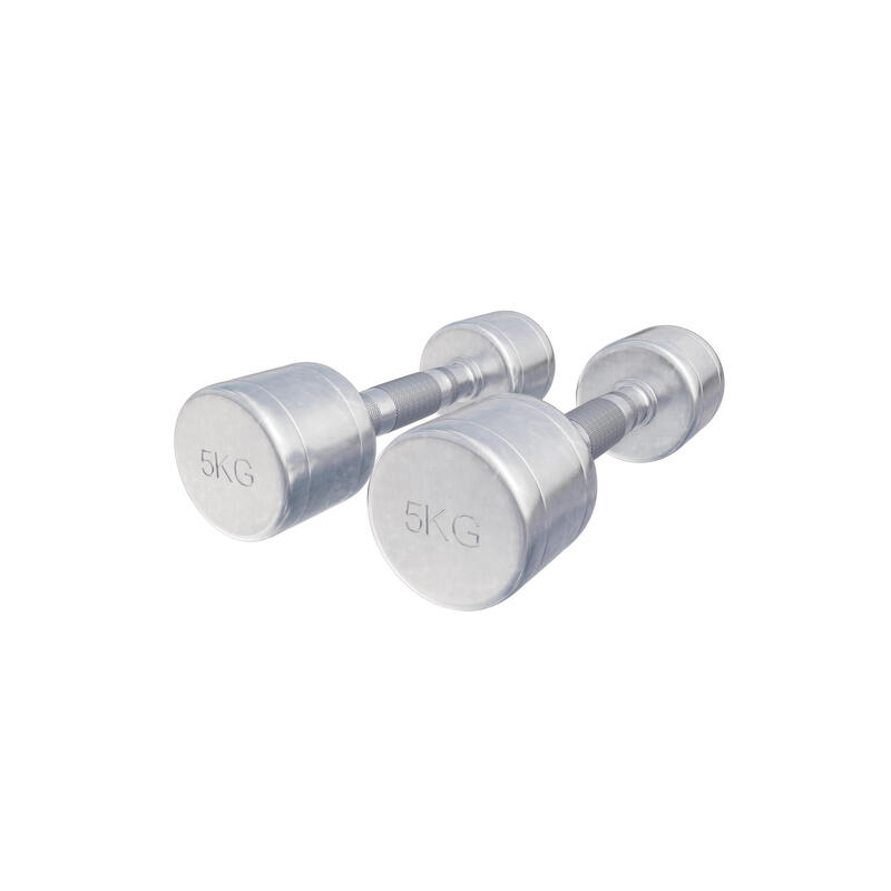 Dumbellset 10 kg - 2x5 kg - Halterset - Vaste dumbbells - Chroom