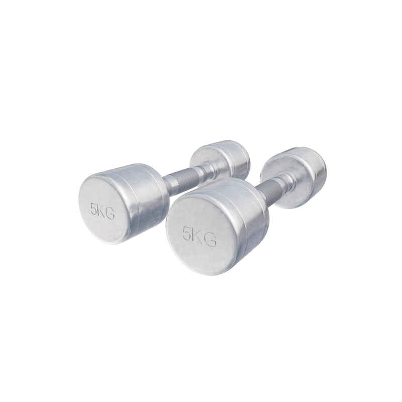 Kurzhantel Chrom 1 - 20 kg