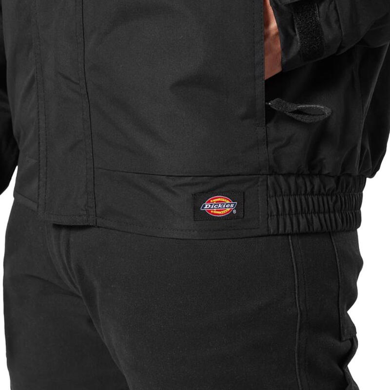 Veste Noire Homme Dickies Everyday