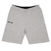 Shorts pour hommes Basketball Flow GRIS CLAIR