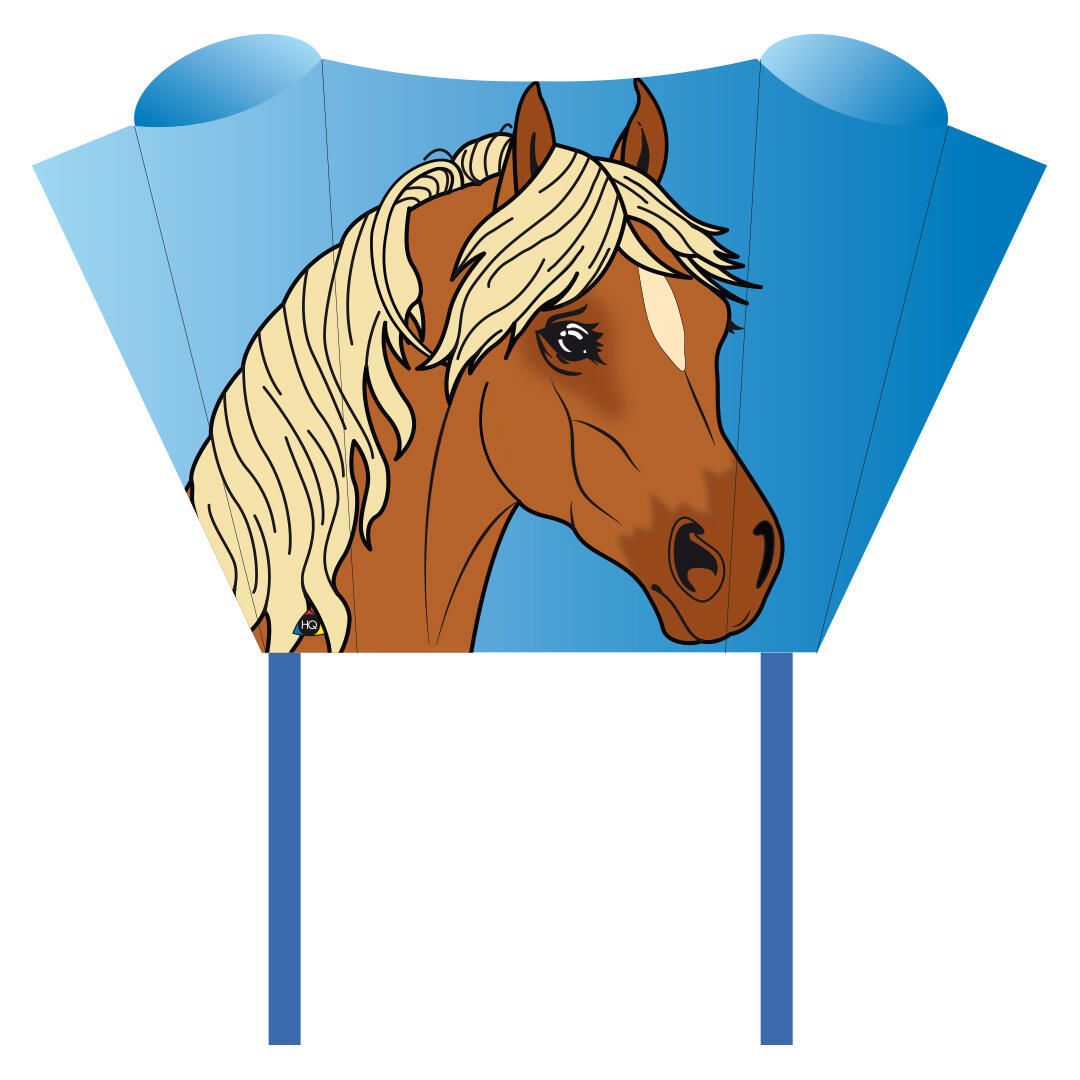 HQ POWERKITES HQ Kindervlieger Sleddy Pony