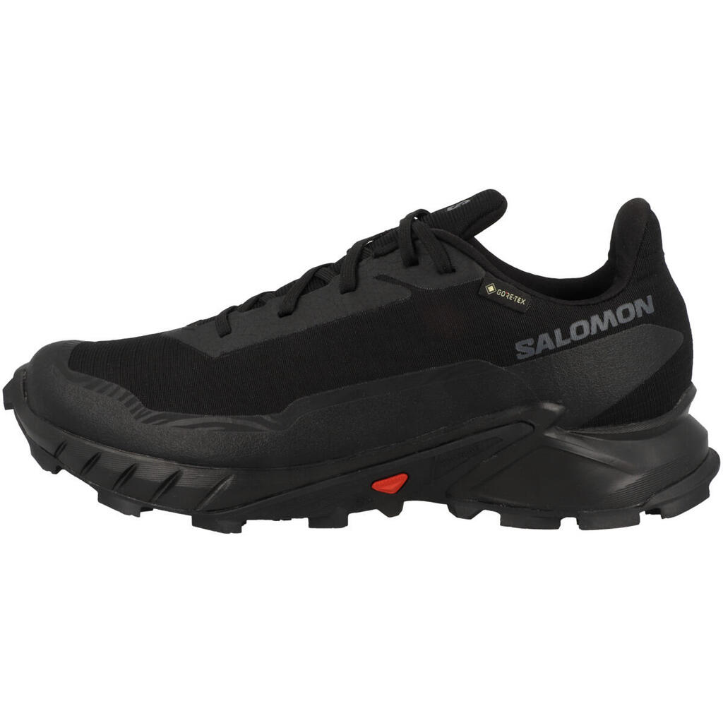 Men running Shoes Salomon Alphacross 5 Gtx