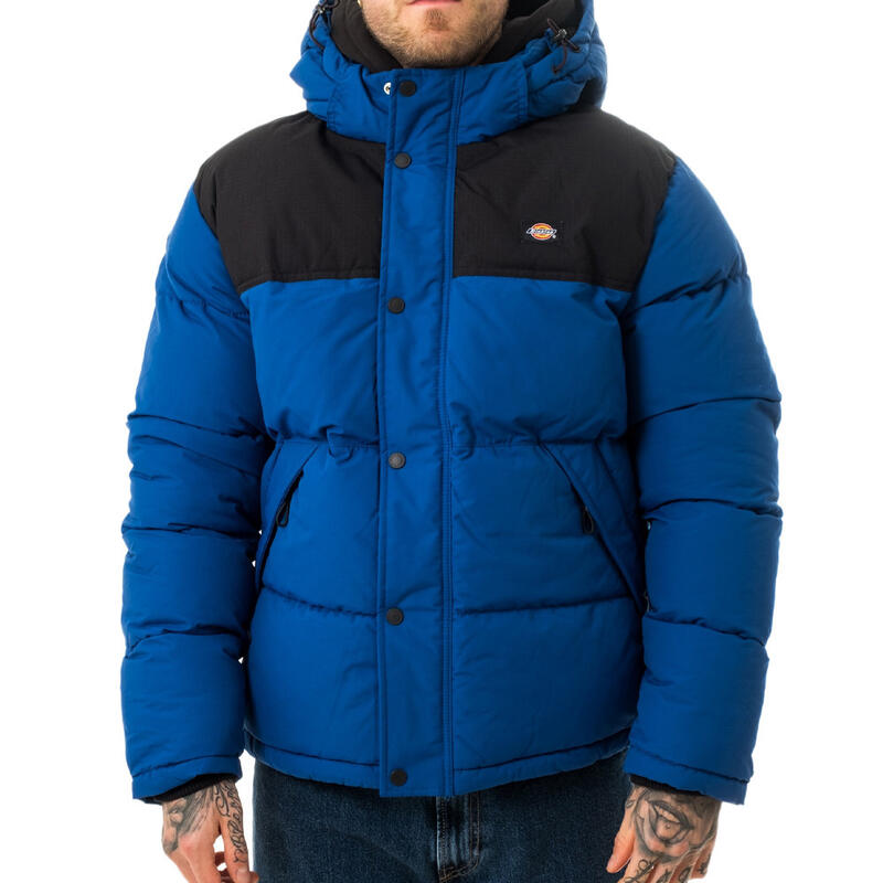 Doudoune Bleu Homme Dickies Glacier View Coat