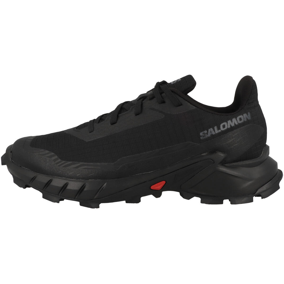 SALOMON picture