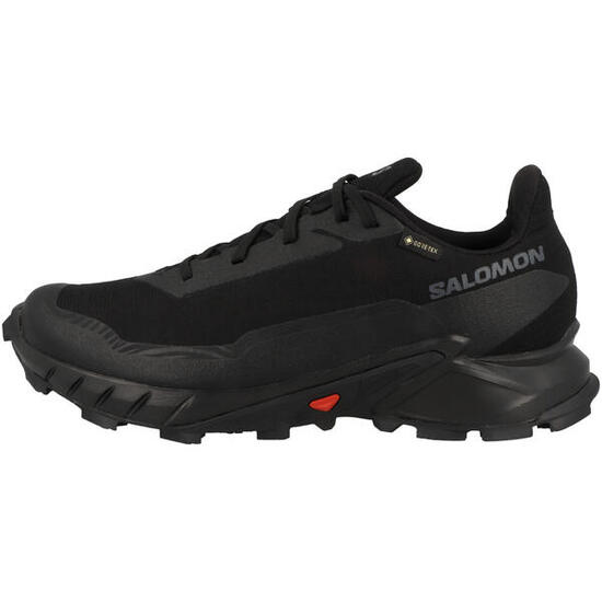 Laufschuhe Alphacross 5 GTX Herren