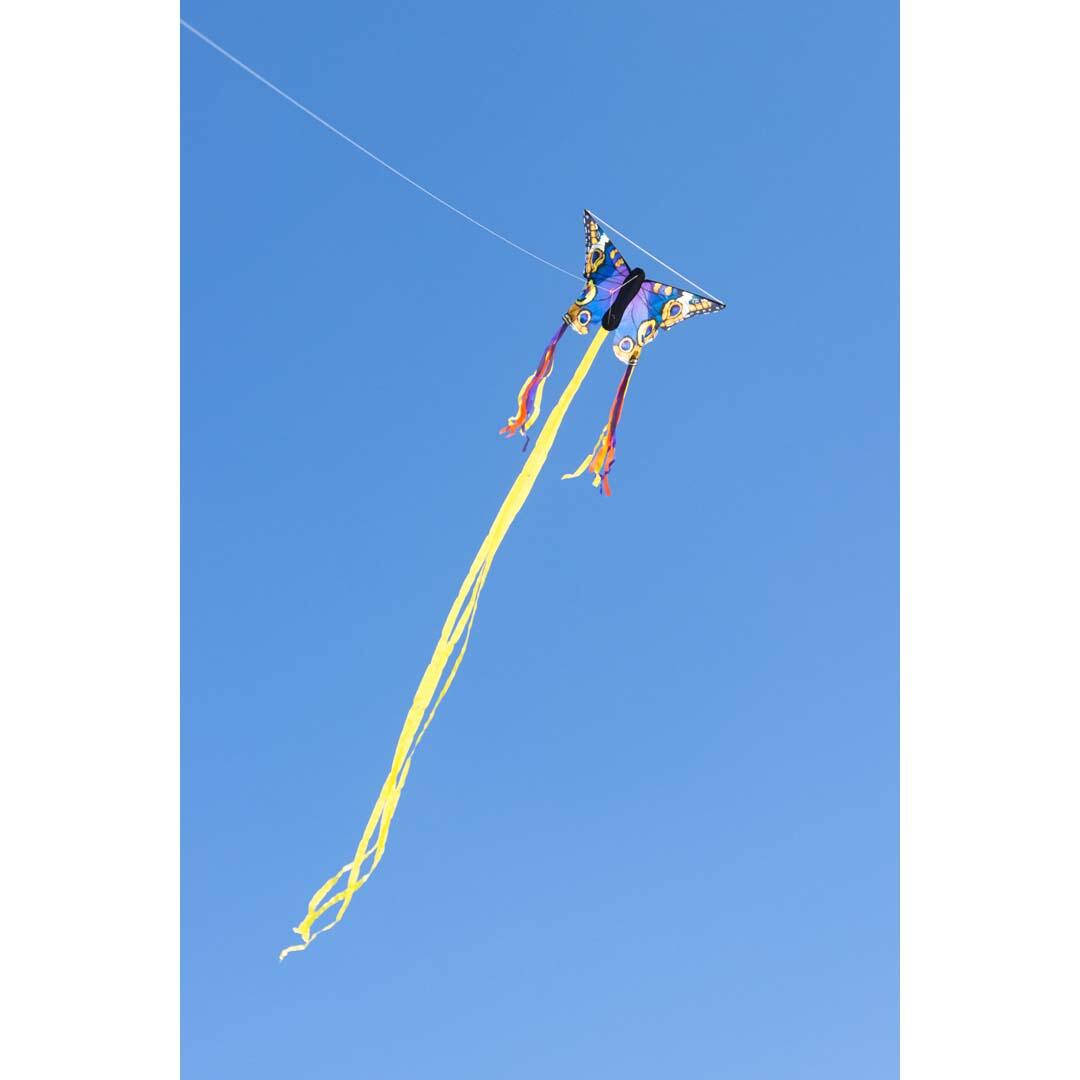 Pipa infantil HQ Butterfly Kite R Buckeye 100303 Azul 52 x 34 cm 4/4