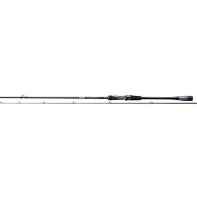 Spinhengel shimano lunamis 9'6 6-25g